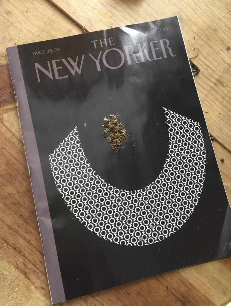 new_yorker_to_roll_a_joint