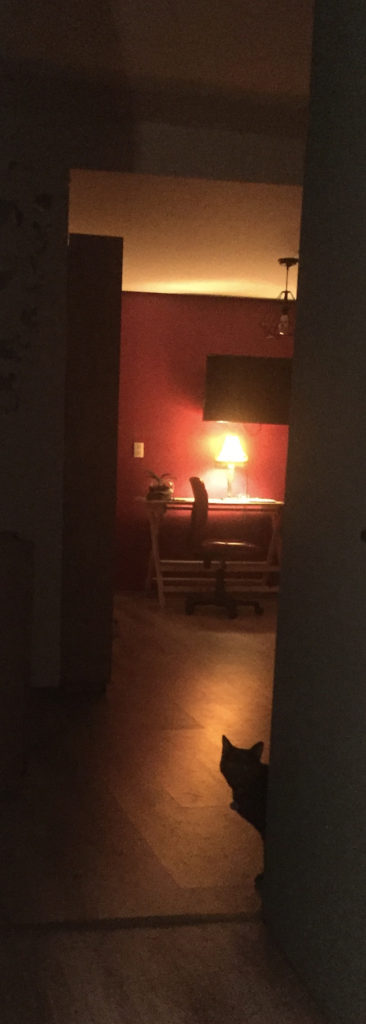 moffin_under_the_light_of_the_leg_lamp